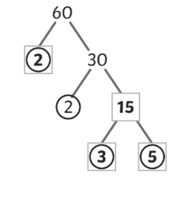 Definition--Factors and Multiples--Factor Tree