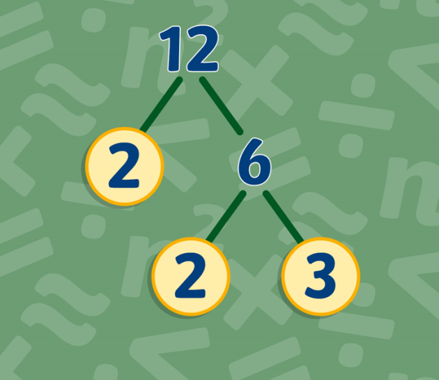 Definition--Factors and Multiples--Factor Tree