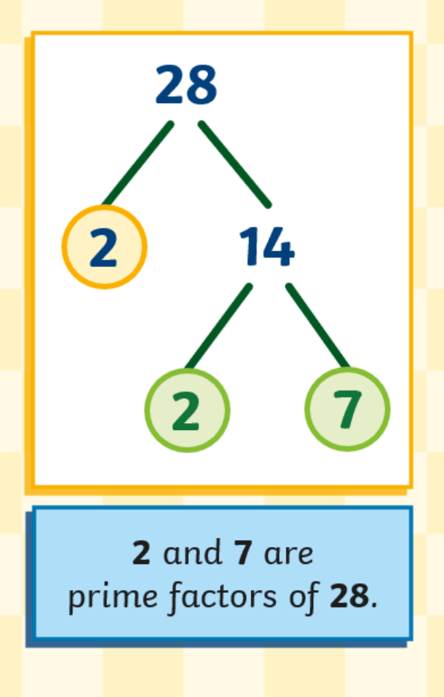 Definition--Factors and Multiples--Factor Tree