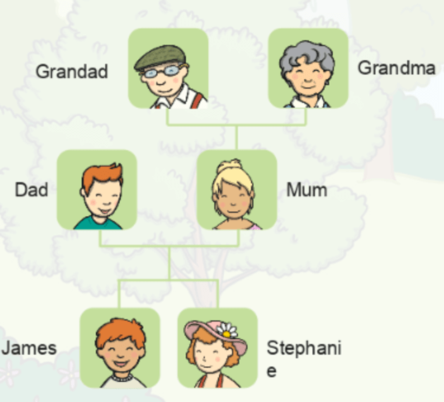 What is a Family Tree? - Answered - Twinkl Teaching Wiki