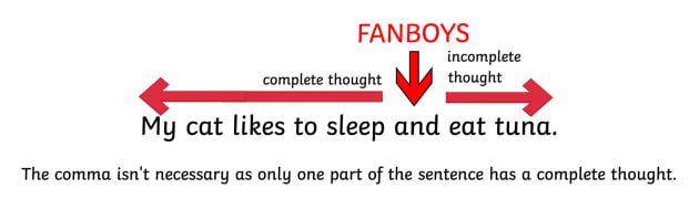 Fanboys Grammar Examples!