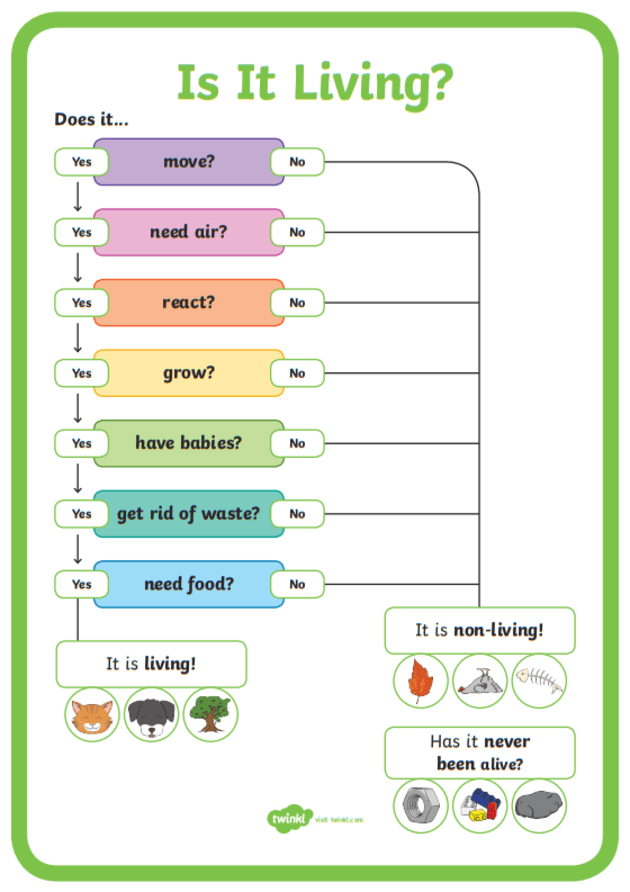 what is a flow chart answered twinkl teaching wiki