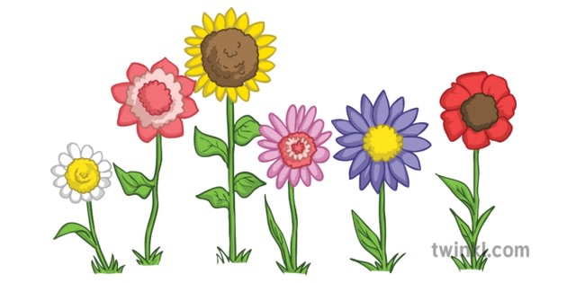 A row of illustrated flowers.