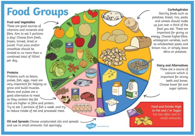 What Is Protein Answered Twinkl Teaching Wiki Twinkl