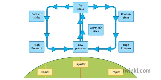 https://images.twinkl.co.uk/tw1n/image/private/t_630/u/ux/hadley-cell-diagram-air-weather-geography-ks3_ver_1.jpg