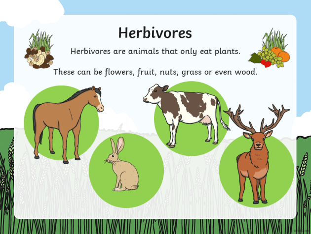 herbivores