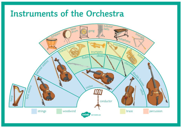 mosquito Cayo yermo What are the four families of the orchestra? | Twinkl Teaching Wiki