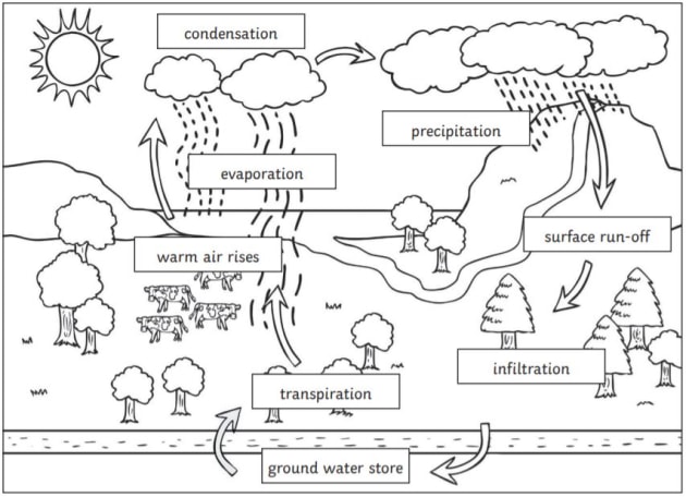 what is water cycle? draw a labelled diagram to show the water cycleFAST​ -  Brainly.in