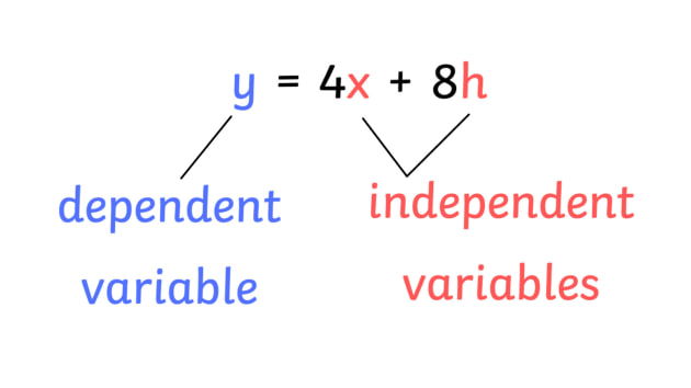 what is another word for variable in math