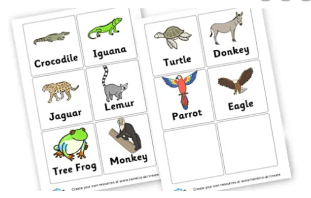 What is a Mexican Animal? - Answered - Twinkl Teaching Wiki