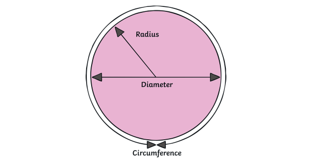 What Is A Radius Twinkl