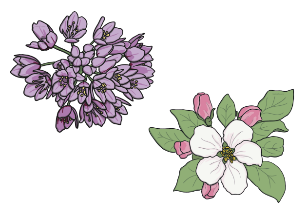 An illustration of two flowers.