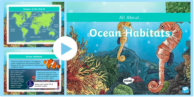 Ocean Habitat for Kids: Fun Facts About Marine Habitats