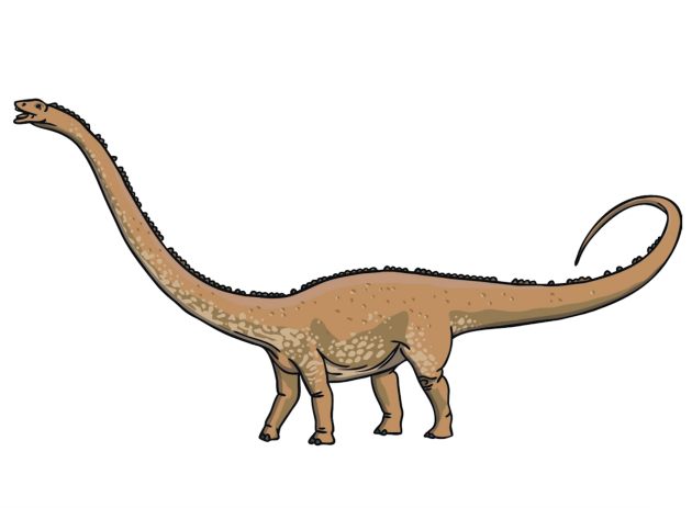 What is a Diplodocus? - Answered - Twinkl Teaching Wiki