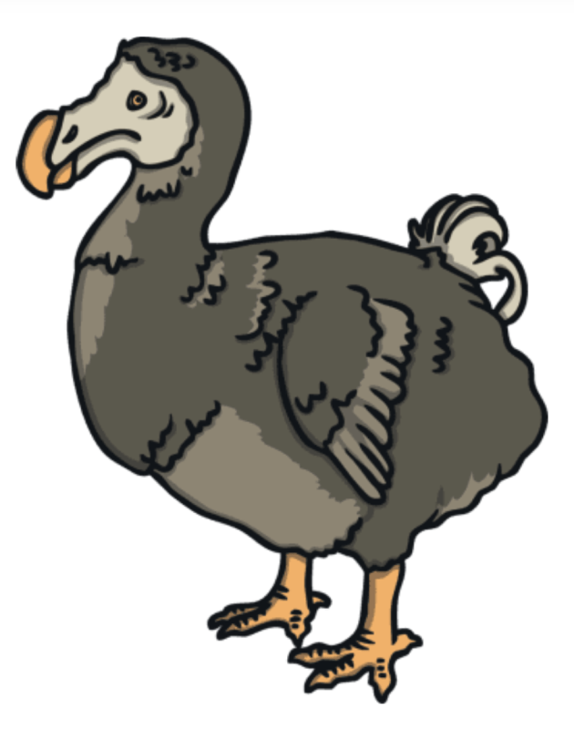 What is the dodo? Where was the dodo habitat? Find out here!