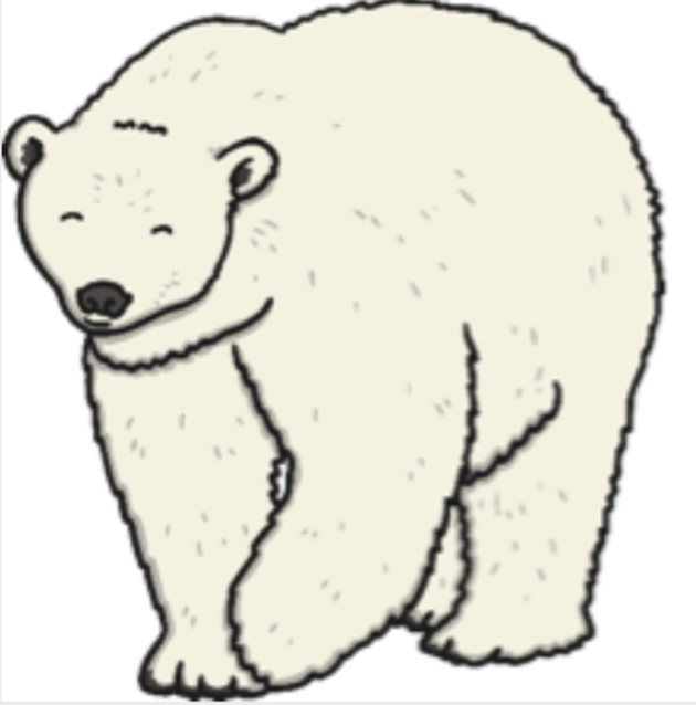 What are North Pole Animals? | Twinkl Teaching Wiki - Twinkl