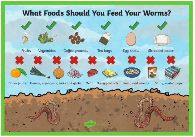What is Worm Farming? How to Start a Worm Farm for Kids