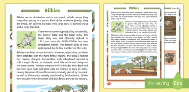 What is the Life Cycle of a Bilby? | Twinkl - Twinkl