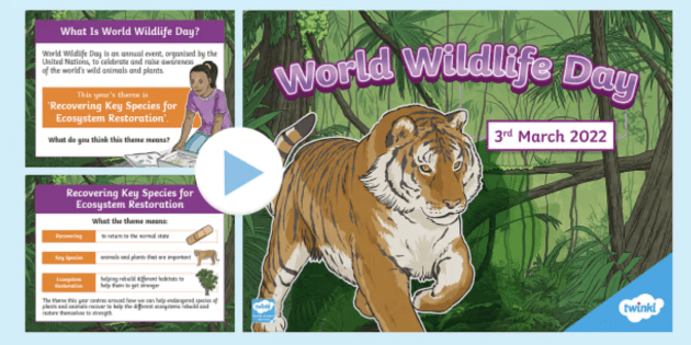 World Wildlife Day: Be the change wild animals need