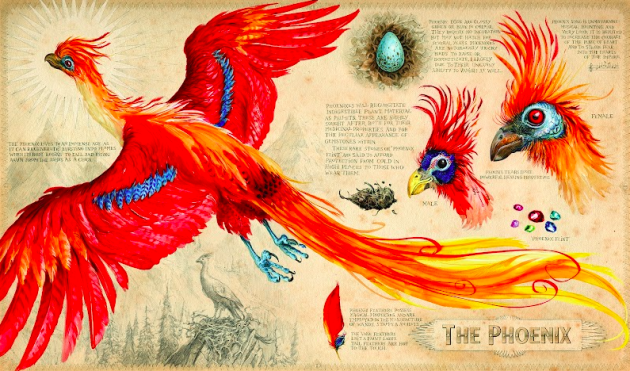 Marque page à colorier - Harry Potter - pack de 40