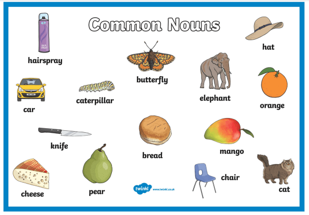 What is a common noun? | Grammar | Twinkl Teaching Wiki