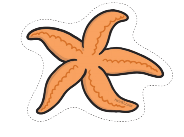 keystone species starfish