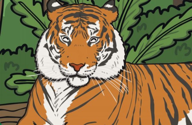 Information and Facts about Tigers, Habitat,Populations and Locations and  Scientific Names.