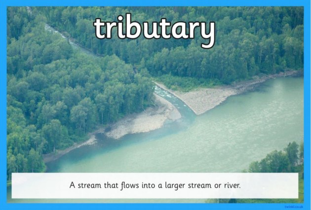 What Is The Tributary System What Does That Mean In Simple English