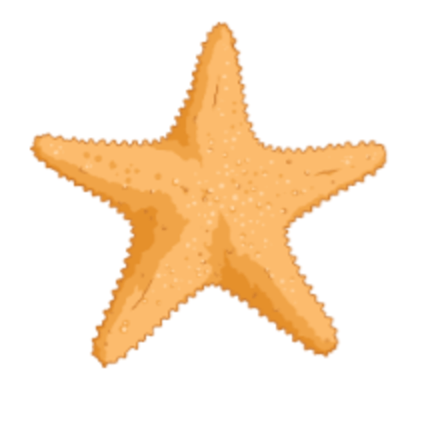 clipart sea stars species