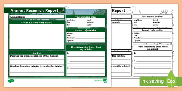 report writing structure for kids