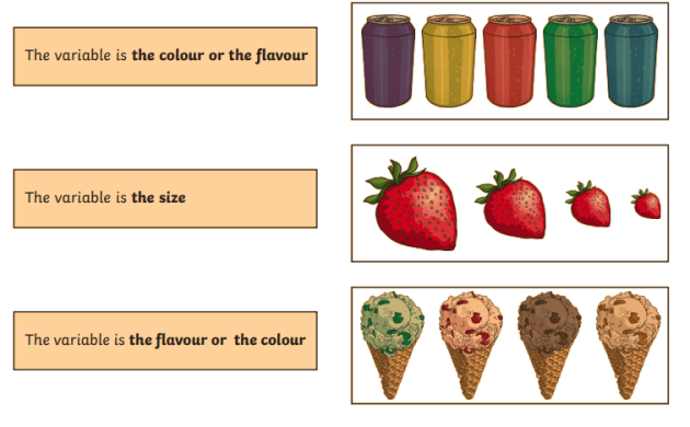 science experiments with variables