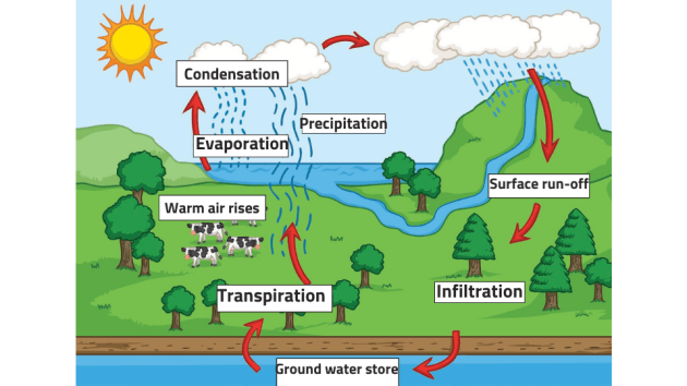 evaporation pictures for kids