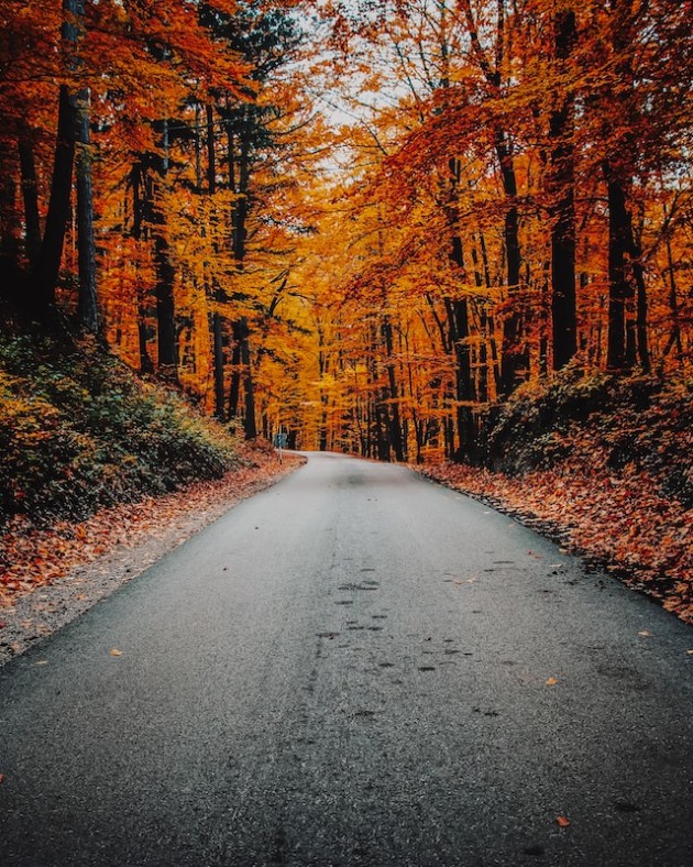 Why Is Autumn Called Fall? The Season's History, Explained