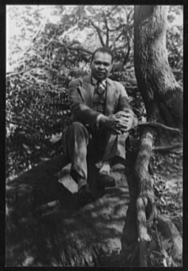 What Was the Harlem Renaissance | Teaching Wiki | Twinkl USA