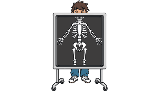 xray pictures for kids