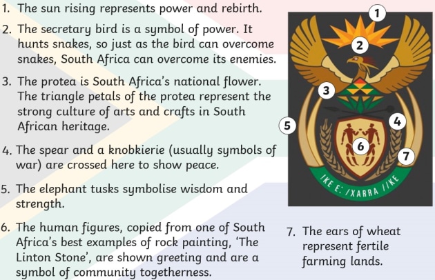 South African Symbols And Their Meanings