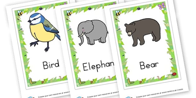 Flashcards - Safari em inglês e português