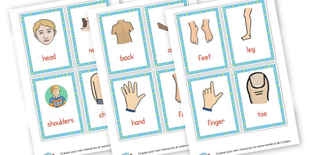 Body Parts Flash Cards - Ourselves & All About Me Primary