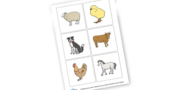 Cards with Farm Animal Pictures - Primary Resources - Twinkl