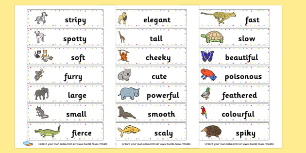 Animal Adjectives Cards - Primary Resources English, Literacy