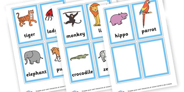 2 and 3 Syllable Animal Pictures - Teaching Resource - Twinkl