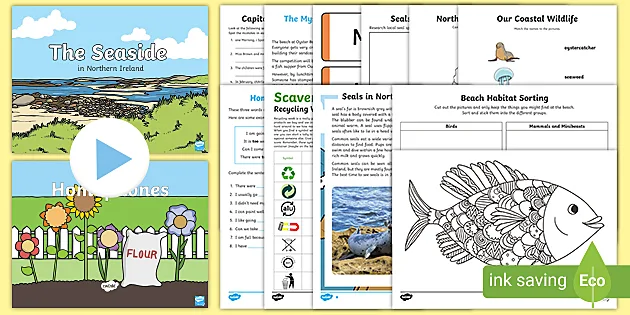 Northern Ireland School Closure P4 Pack 6 teacher made