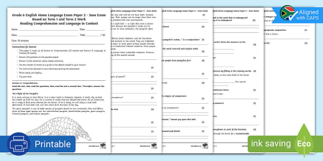 Grade 6 English HL Exam Paper 2 - June Assessment - Twinkl