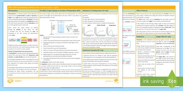 Bioenergetics Knowledge Organiser | AQA Science | Beyond