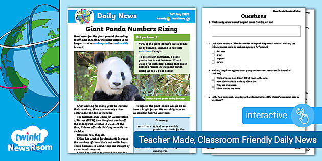 News Story for Children 7-9: Giant Panda Numbers Rising