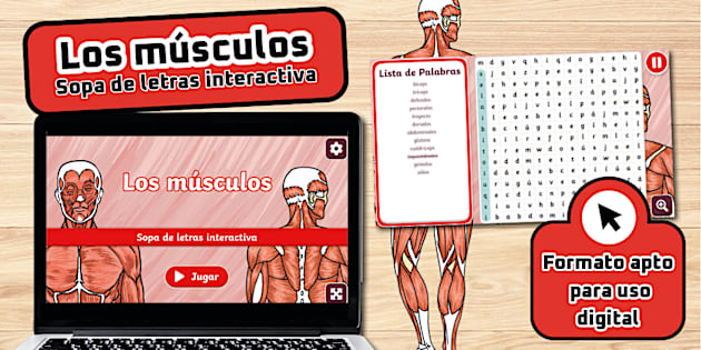Sopa de letras interactiva: Los músculos
