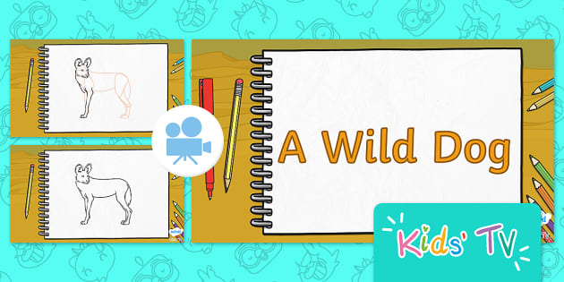 How to Draw a Wild Dog | Drawing Videos for Kids - Twinkl