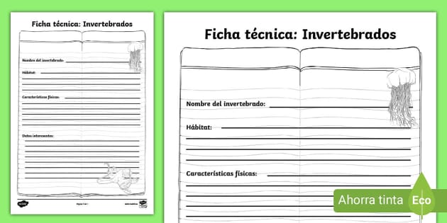 Ficha de actividad: Ficha técnica - Invertebrados - Twinkl