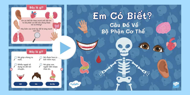 Đoán Bộ Phận Cơ Thể - Thử Thách Giải Đố Thú Vị Về Cơ Thể Người