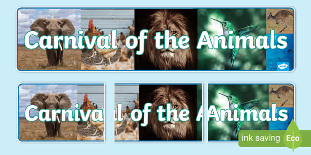 The Carnival of the Animals Photo Display Banner - Twinkl